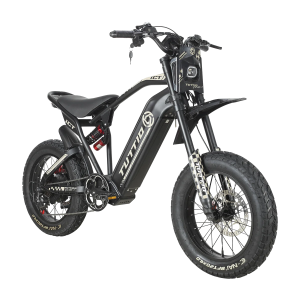 ICT Electric Bike For Adults