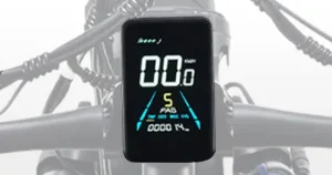 electric-bicycles-for-adults-dis