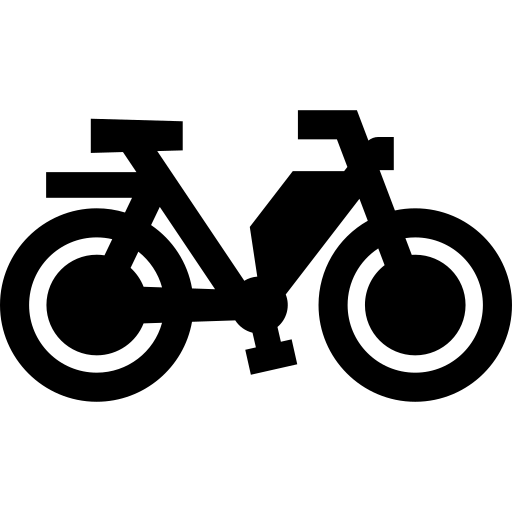 Motor Assistance